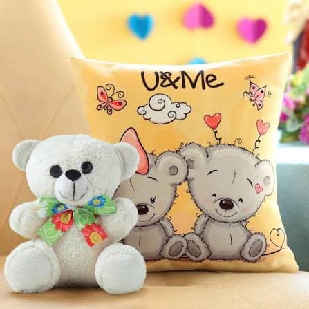 TEDDY PILLOW CUSHION